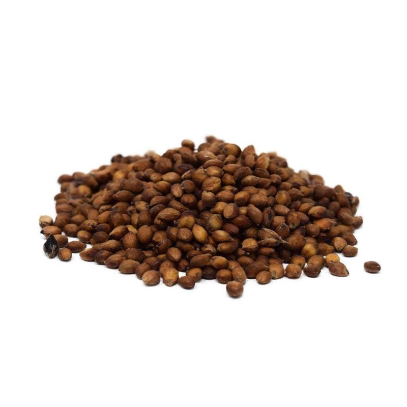 EgyptianWheatSeed