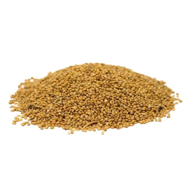 GermanFoxtailMillet