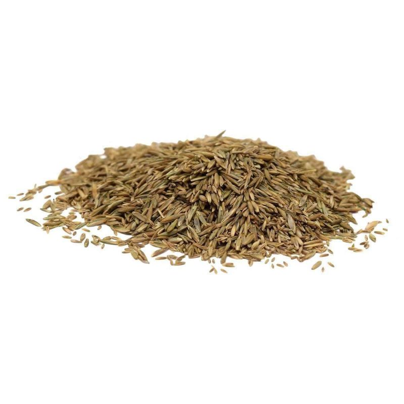 HancocksCentralStatesLawnSeedMix