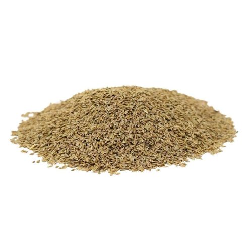 HancocksCommonBermudaGrassSeedUNHULLED 1200px