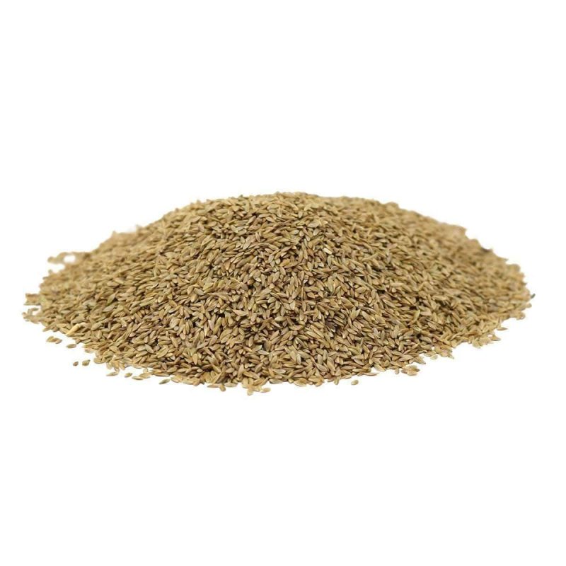 HancocksCommonBermudaGrassSeedUNHULLED