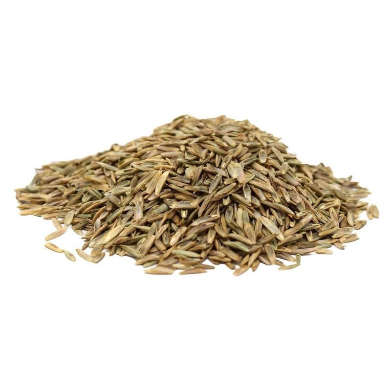 HancocksPastureRyegrassSeed