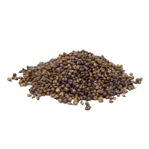 HybridPearlMilletSeed 1200px