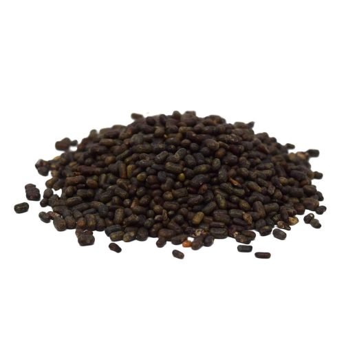 SesbaniaSeed 1200px