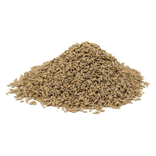 WranglerBermudaGrassSeed 1200px