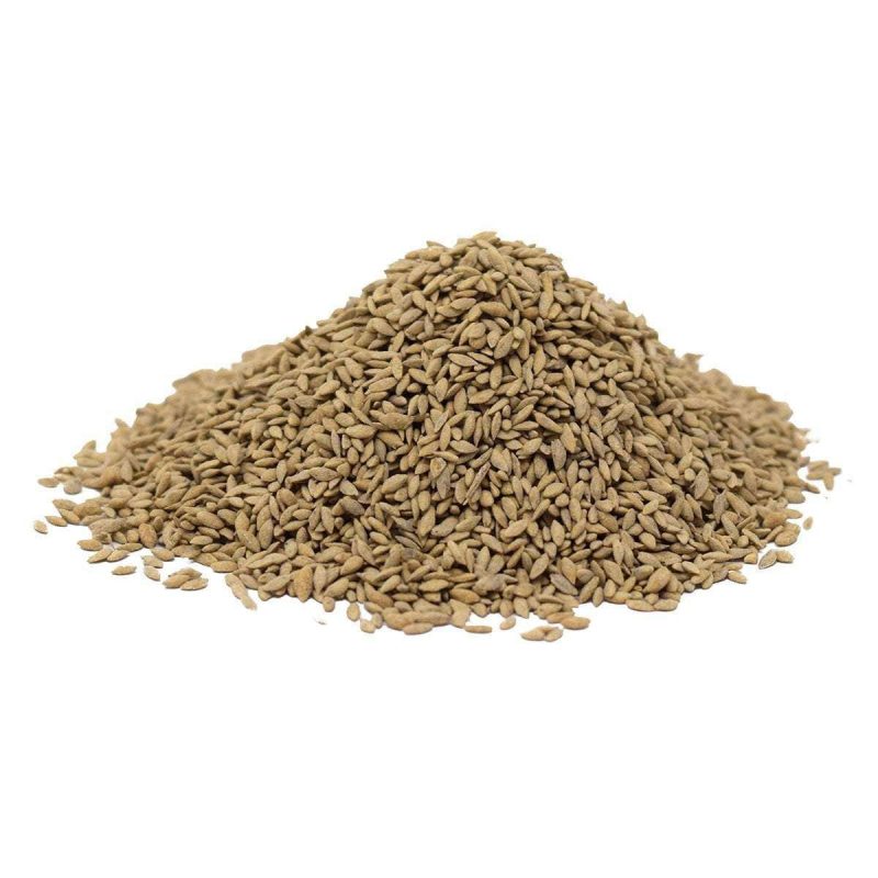 WranglerBermudaGrassSeed