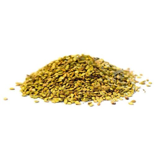 argentine bahia seed mix