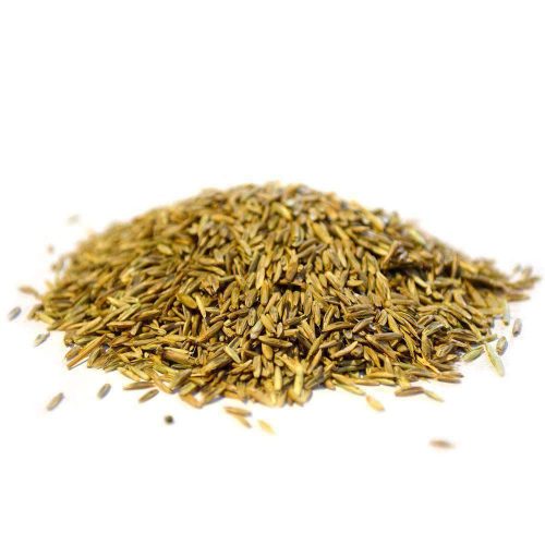 hancocks ryegrass seed