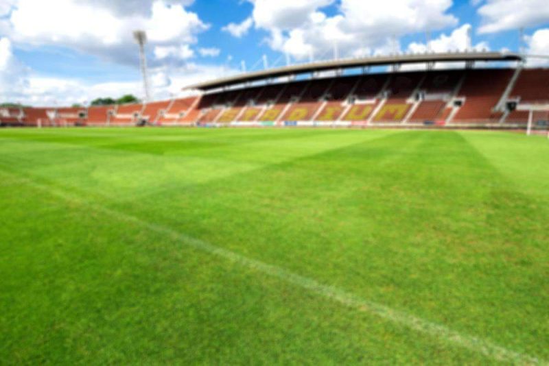 ryegrass soccer field