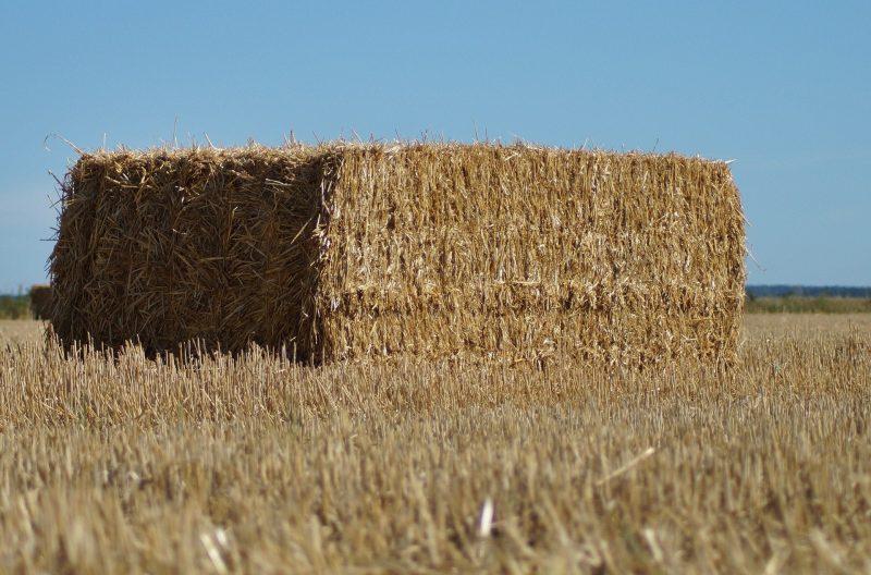 square bale straw rye HS P192